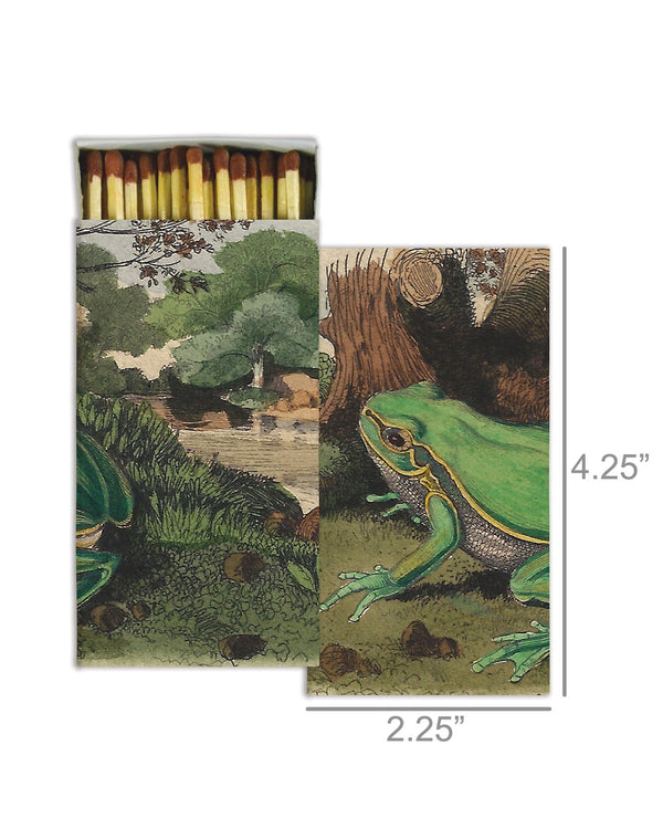 Landscape with Frog Matches