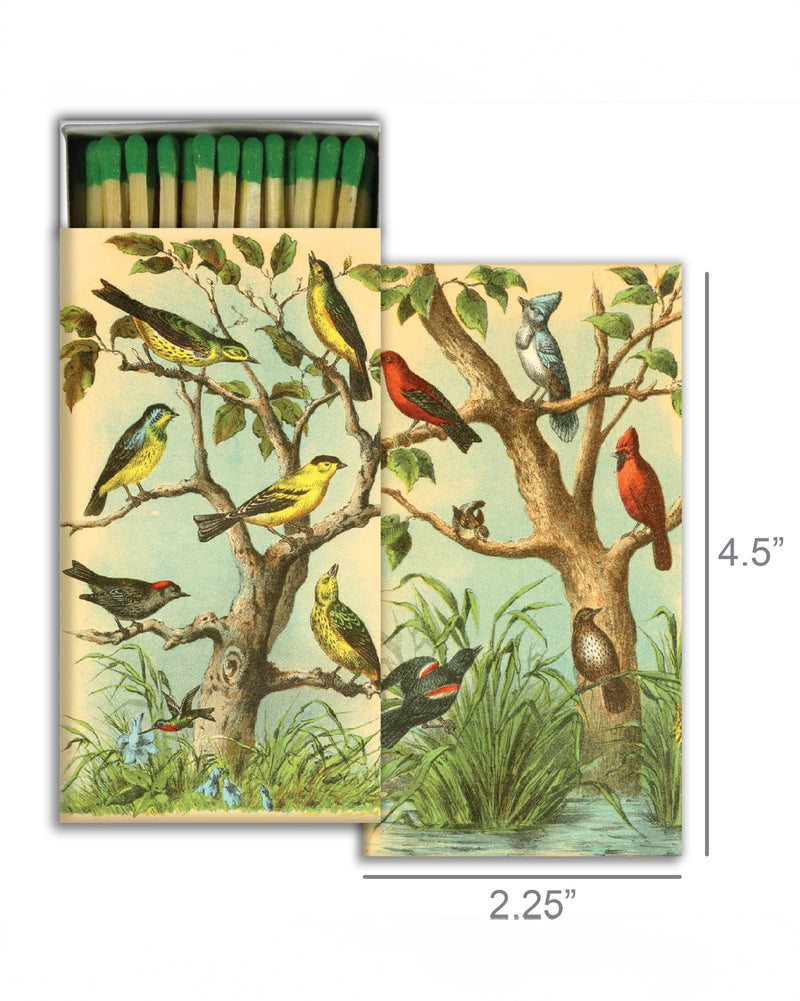 Bird Studies Matches