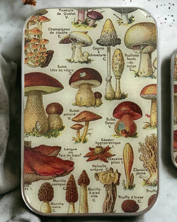 Mushroom Keepsake Tin