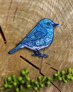 Blue Bird Chin Up Patch