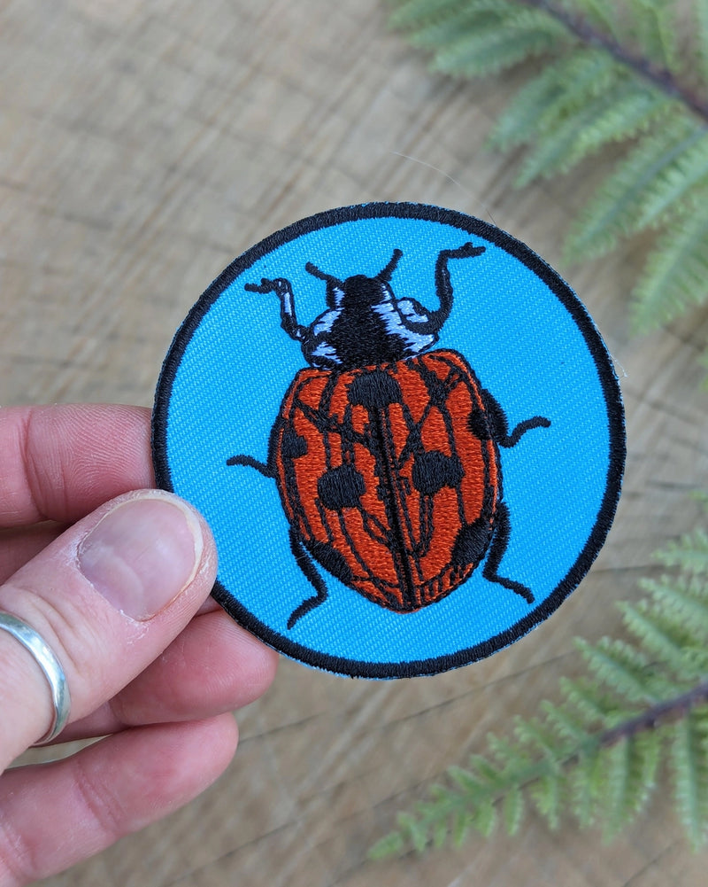 Ladybug Patch