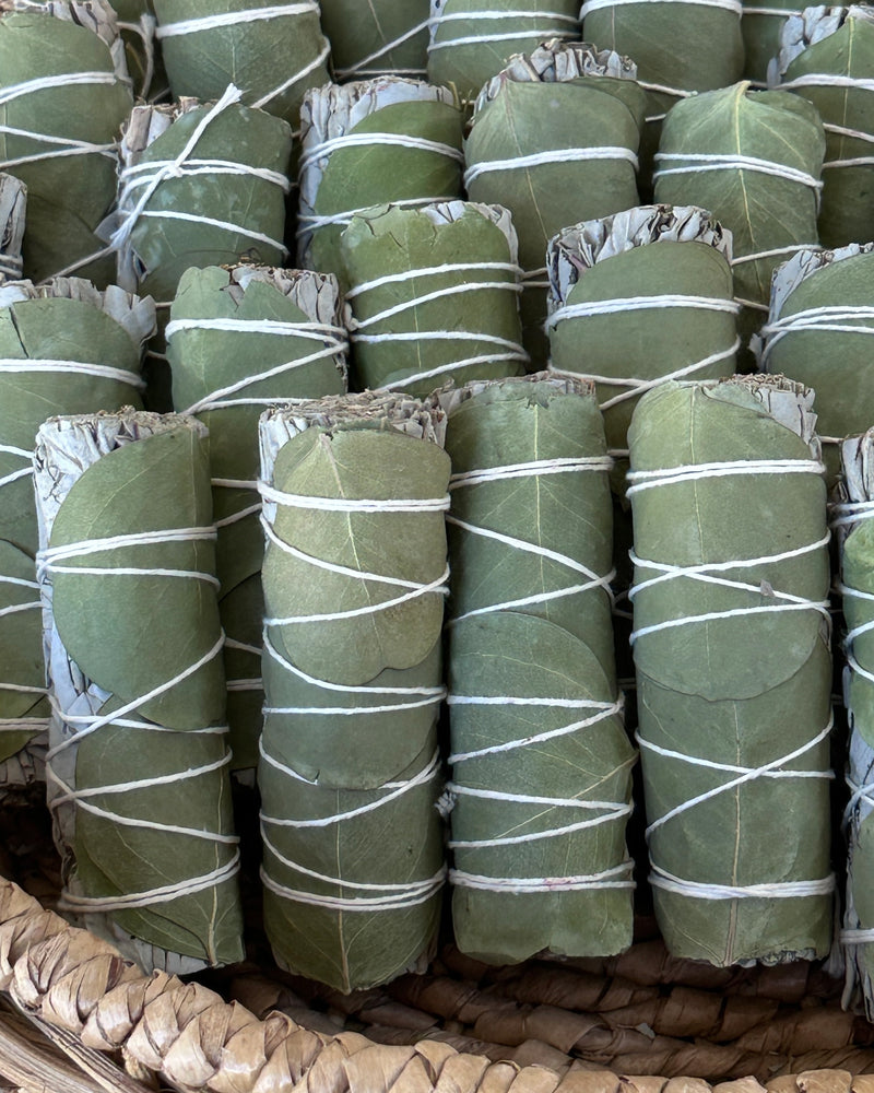 White Sage w/ Eucalyptus Smudge Stick Bundle