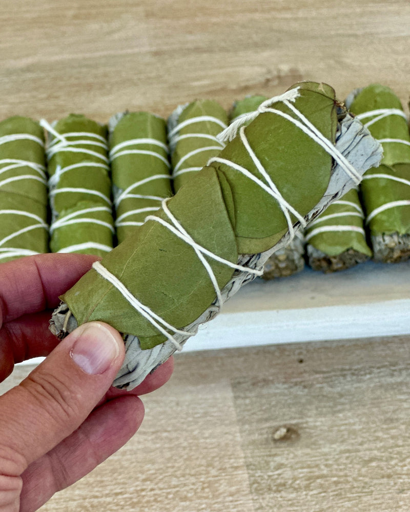 White Sage w/ Eucalyptus Smudge Stick Bundle